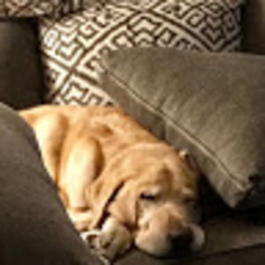 Meet your Posher, Kristina